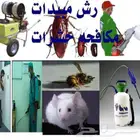 شركة مكافحة حشرات رش مبيدات الدمام الخبر القطيف الظهران