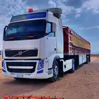 نقل ابل وهجن وغنم وعلف
