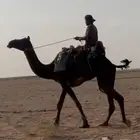 رحوال مجهم