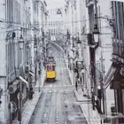 ستائر رول رائعة ثلاثية الأبعاد سعر جملة جديد