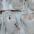موجود بط بكين