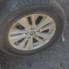 جنوط التيما ستاندر 2023