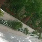 مشتل تنسيق حدائق