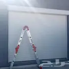 شتر وطني واسباني