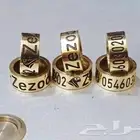 حجول كاسكو