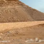 مقاول عام