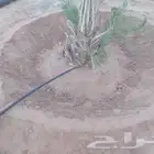 تكريب وتحويض