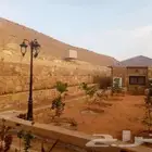 اعمال الشبوك وأعمال التراث القديمة ترميم تنفيذ معا المواد