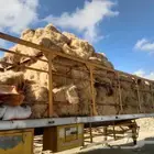 أعلاف للبيع واكياس ملح خشن للاستخدام الحيواني