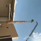 دينه ونش بوم تراك