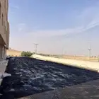 وايت رش امسي وان وارسي تو