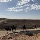 رحلات خارجيه بالخيل