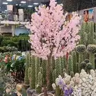 اشجار صناعية ذات جوده عاليه شكل جمال مهجن ومحنط