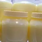 عرض سمن غنمي بسعر الجملة