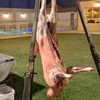 شوي خارجي في الموقع