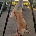 معلم شوي خارجي مشاوي