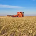 سطحة الاحساء داخلي وخارجي والى الرياض