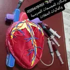 مجسمات مدرسيه وبروجكت ومشاريع واستراتيجيات