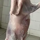 رخال وطليان وتيوس مع السلخ والتوصيل داخل مكه