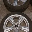 جنوط موستنج وكاله