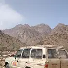 جيب صالون 84