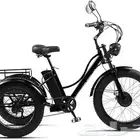 دراجة كهربائية ثلاثية العجلات بطارية ليثيوم ضمان سنة