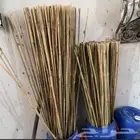خيزران لتثبيت الاشجار البيع