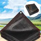 شراع