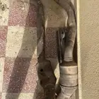 دبات وكاله مع موسير الوكاله بدون تفريق