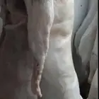 السواكنى الطازج