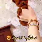 بدول تي كب مستوى عالي جدا
