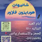 شاليهات هورايزون فلاور