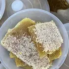 عسل سدر عسل سمرة عسل طلح مضمون على الشرط