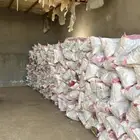 خبز ناشف