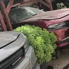 قطع دوج شارجر شالنجر كلايزر