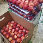 توصيل وتوريد خضار وفواكه