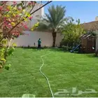 زراعة جميع النباتات والأشجار وتنسيقها وزراعة الانجيلة