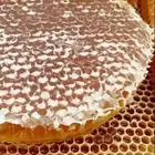 عسل سدر اصلي وع الامانة مسؤول عنه امام الله شفاء ودواء