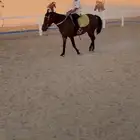 فرس بونيه