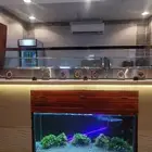 تفصيل احواض سمك المطاعم والكافيهات