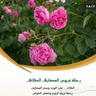 مرشدكم السياحي بالطائف