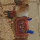 سيسي ليجار