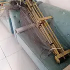 شبكة صيد طيور