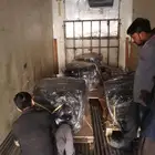 مكاين وقيور لكزس 460