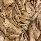 عود منوع