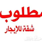 مطلوب شقه للاجار الشهري لزوجين بدون اطفال اهم شي تكون جديده