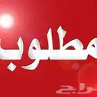 مطلوب شقه في العزيزيه الرياض