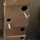 اعشاش طيور واقفاص