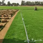 تنسيق حدائق تيل طبيعي