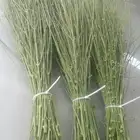 مرخ لي للبيع لي للحنيذ والمندي ويتقطف عند طلبك بي نص ساعه